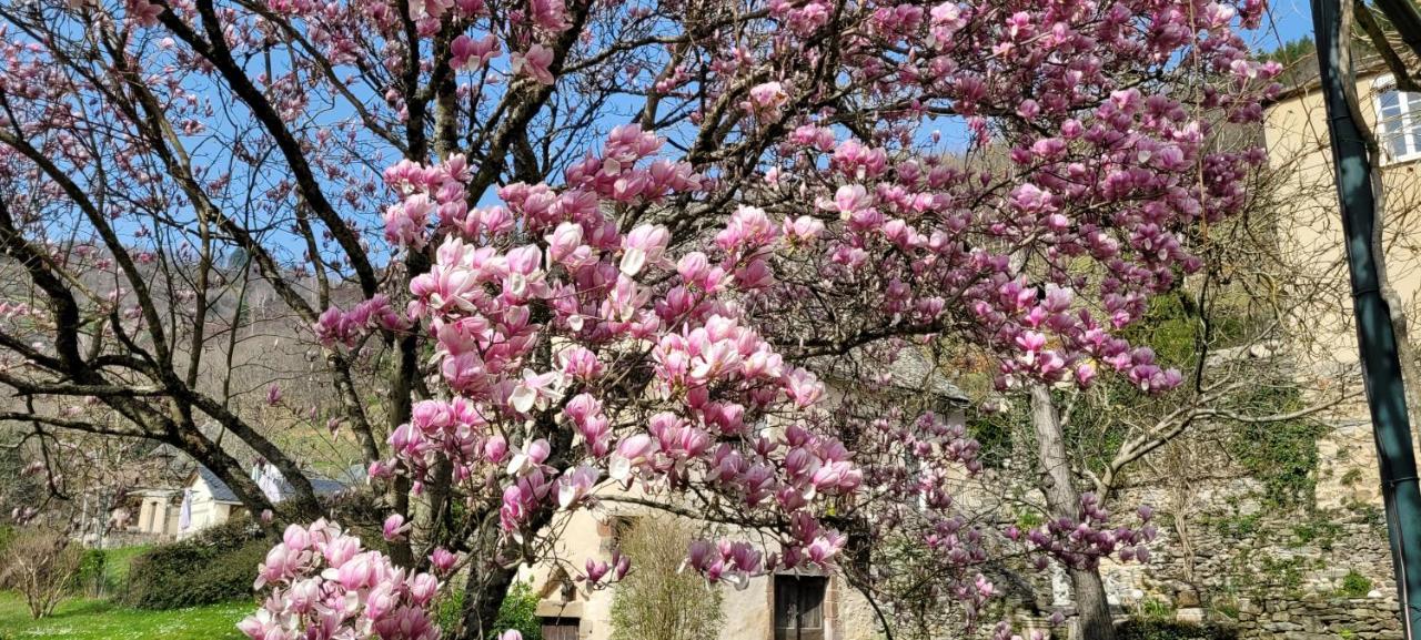 住宿与早餐Manoir Des Pélies Conques