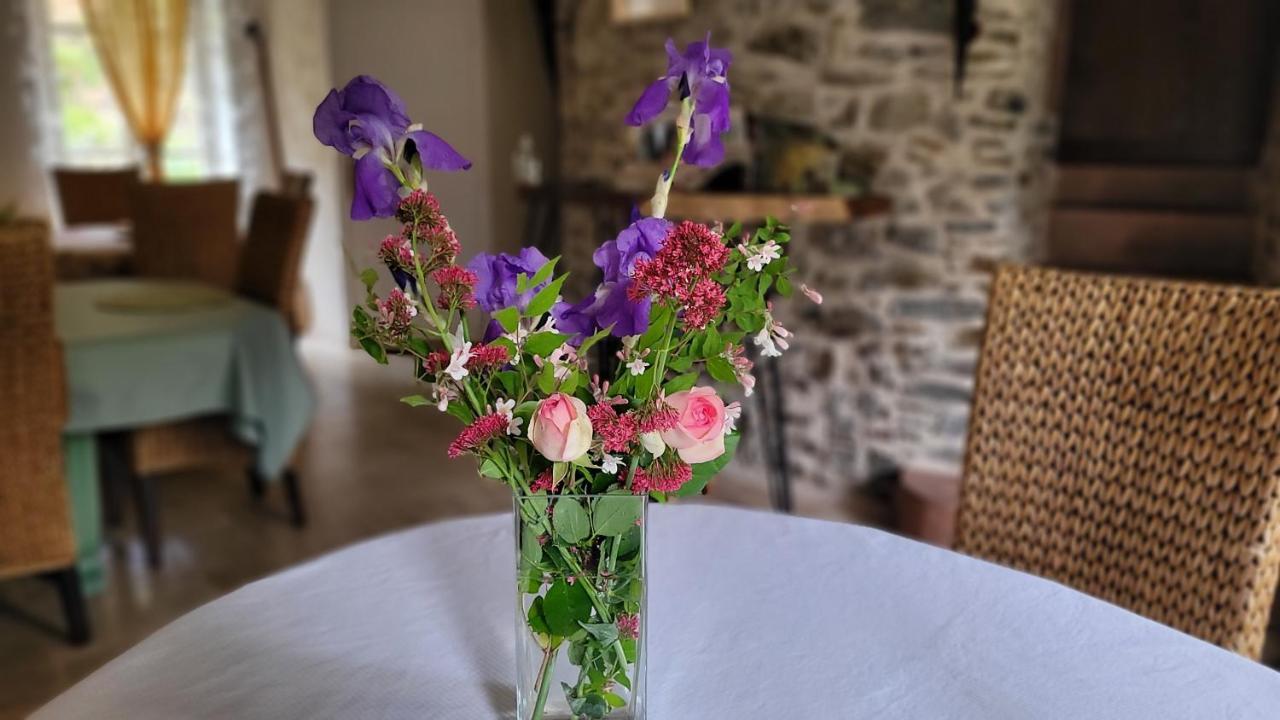 Manoir Des Pélies酒店*