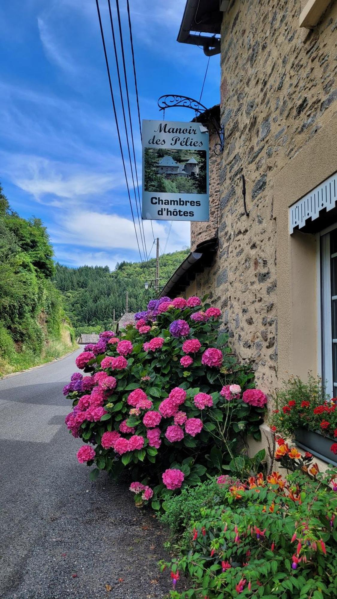 Manoir Des Pélies酒店
