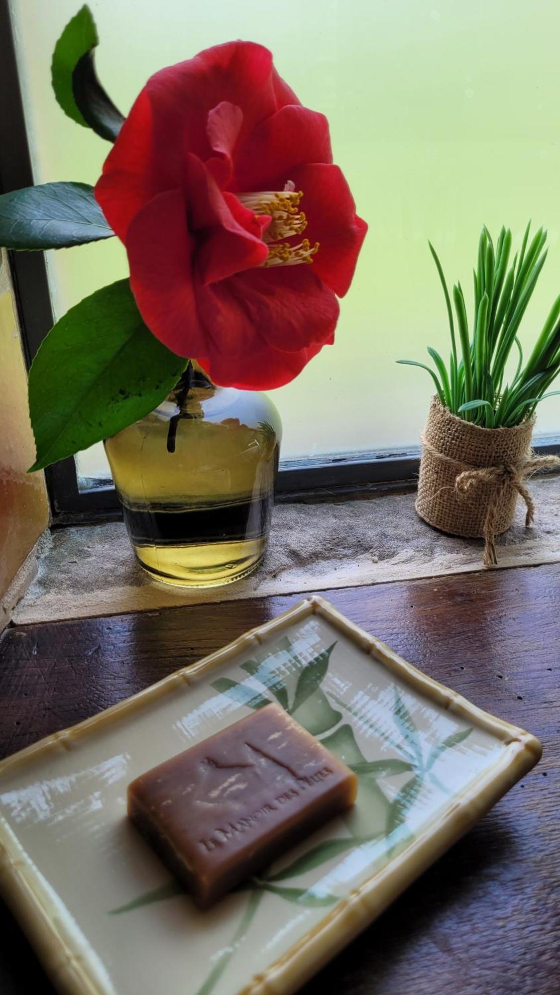 Alojamento de Acomodação e Pequeno-almoço Manoir Des Pelies Conques